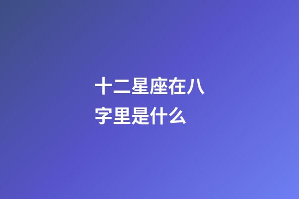 十二星座在八字里是什么