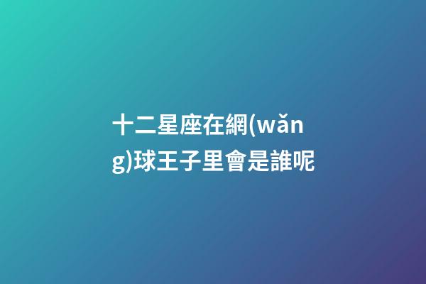 十二星座在網(wǎng)球王子里會是誰呢