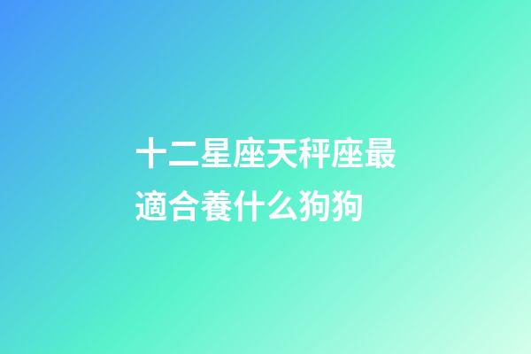 十二星座天秤座最適合養什么狗狗-第1張-星座運勢-玄機派