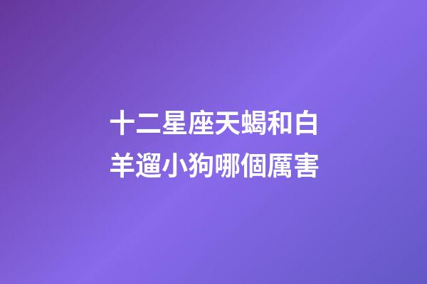 十二星座天蝎和白羊遛小狗哪個厲害-第1張-星座運勢-玄機派