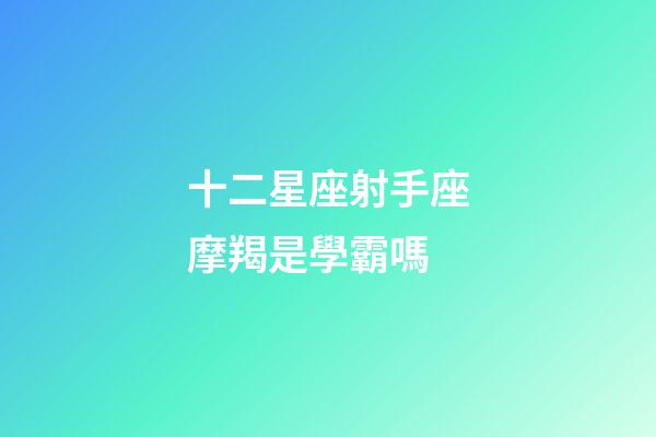十二星座射手座摩羯是學霸嗎-第1張-星座運勢-玄機派