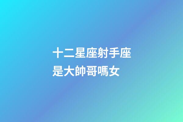 十二星座射手座是大帥哥嗎女-第1張-星座運(yùn)勢-玄機(jī)派