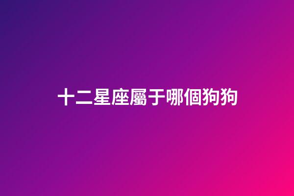 十二星座屬于哪個狗狗-第1張-星座運勢-玄機派
