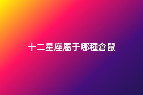 十二星座屬于哪種倉鼠-第1張-星座運勢-玄機派