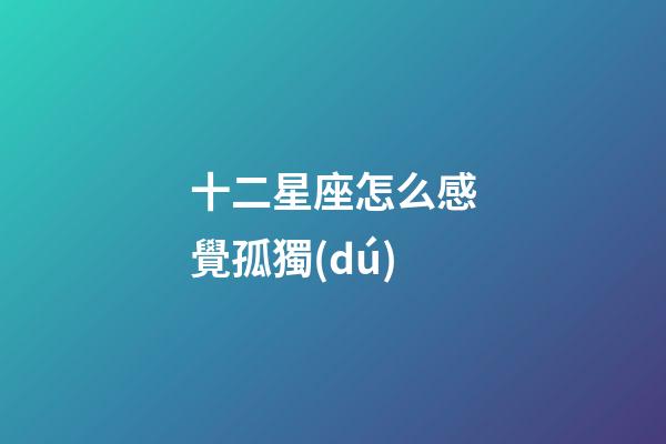 十二星座怎么感覺孤獨(dú)-第1張-星座運(yùn)勢(shì)-玄機(jī)派