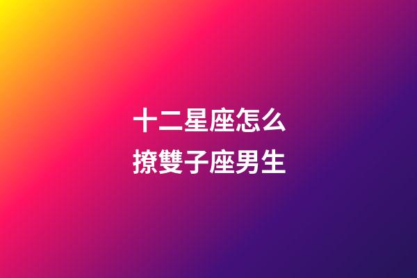 十二星座怎么撩雙子座男生-第1張-星座運勢-玄機派