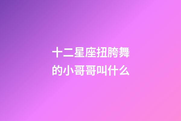 十二星座扭胯舞的小哥哥叫什么