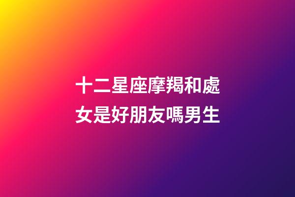 十二星座摩羯和處女是好朋友嗎男生-第1張-星座運勢-玄機派
