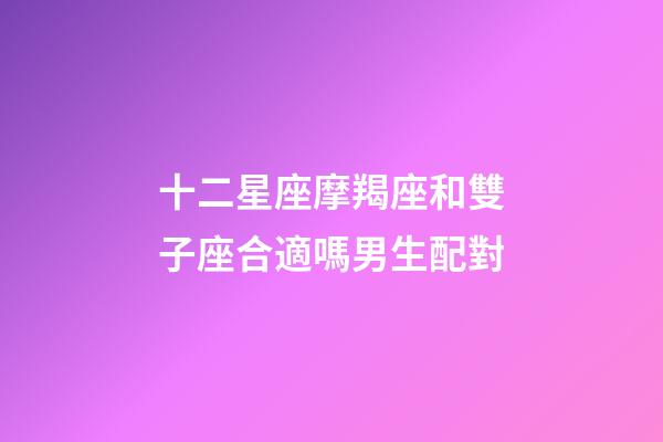 十二星座摩羯座和雙子座合適嗎男生配對-第1張-星座運勢-玄機派