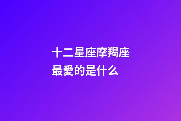 十二星座摩羯座最愛的是什么-第1張-星座運勢-玄機派