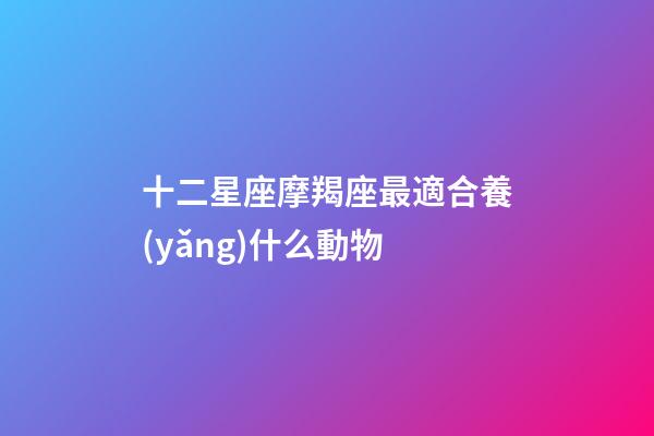 十二星座摩羯座最適合養(yǎng)什么動物-第1張-星座運勢-玄機派