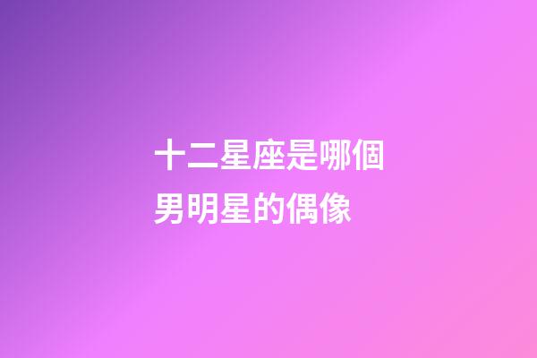 十二星座是哪個男明星的偶像-第1張-星座運勢-玄機派