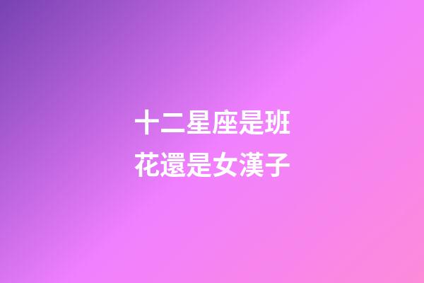 十二星座是班花還是女漢子-第1張-星座運勢-玄機派