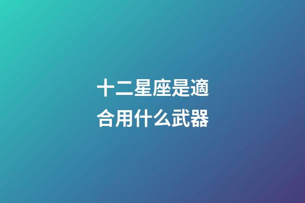 十二星座是適合用什么武器-第1張-星座運勢-玄機派