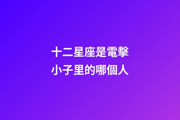 十二星座是電擊小子里的哪個人-第1張-星座運勢-玄機派