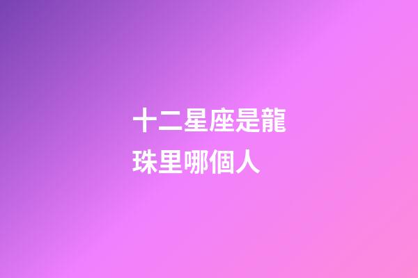 十二星座是龍珠里哪個人