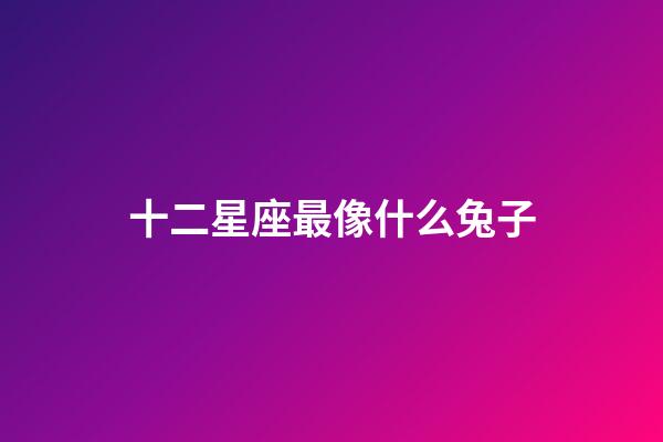 十二星座最像什么兔子-第1張-星座運勢-玄機派