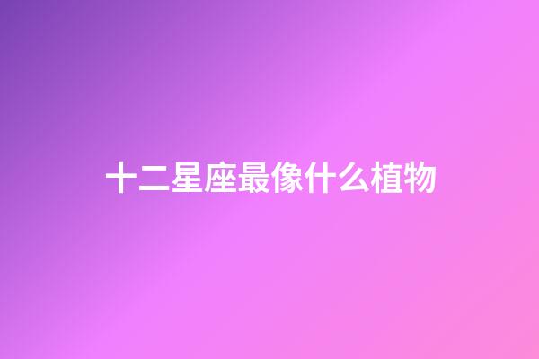 十二星座最像什么植物-第1張-星座運勢-玄機派