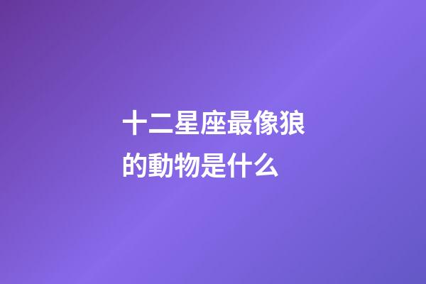 十二星座最像狼的動物是什么-第1張-星座運勢-玄機派
