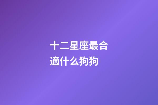 十二星座最合適什么狗狗-第1張-星座運勢-玄機派