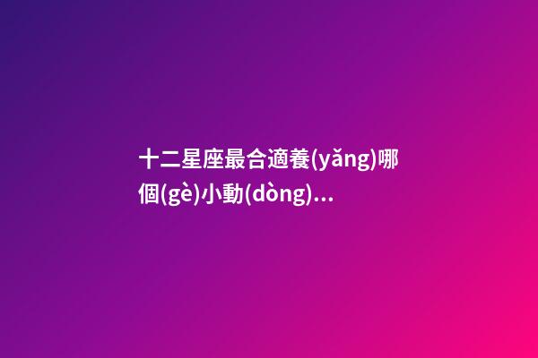 十二星座最合適養(yǎng)哪個(gè)小動(dòng)物-第1張-星座運(yùn)勢(shì)-玄機(jī)派
