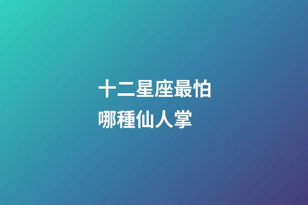 十二星座最怕哪種仙人掌-第1張-星座運勢-玄機派