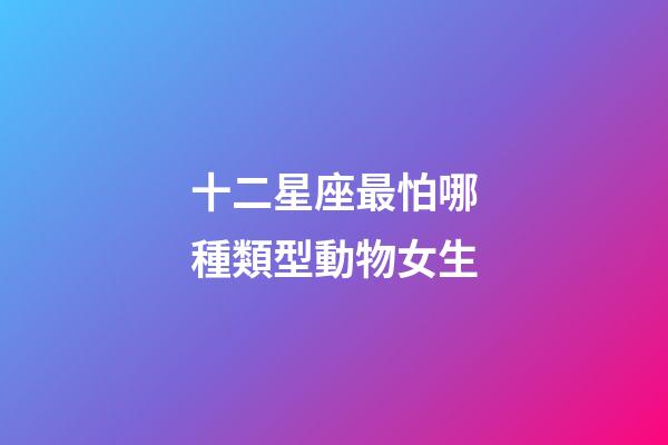 十二星座最怕哪種類型動物女生-第1張-星座運勢-玄機派