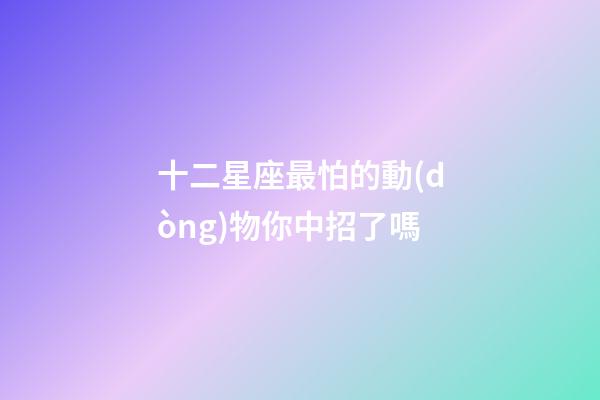 十二星座最怕的動(dòng)物你中招了嗎-第1張-星座運(yùn)勢(shì)-玄機(jī)派