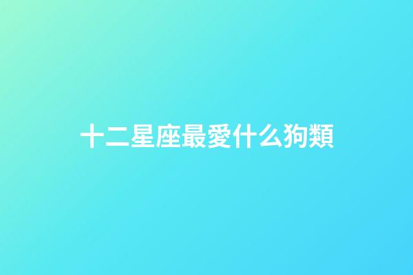 十二星座最愛什么狗類-第1張-星座運勢-玄機派