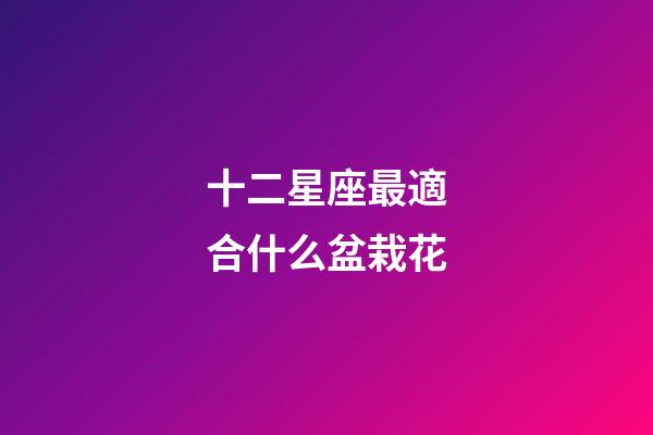 十二星座最適合什么盆栽花-第1張-星座運勢-玄機派