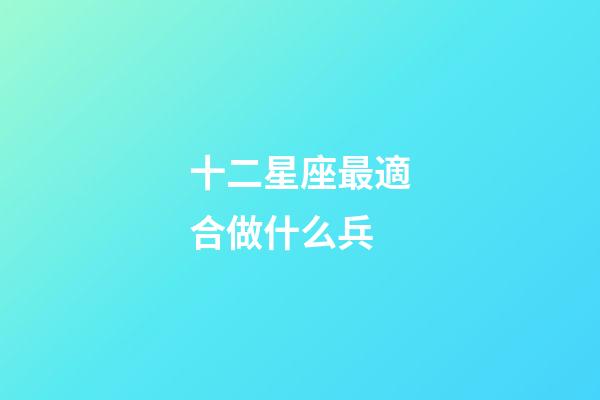 十二星座最適合做什么兵-第1張-星座運勢-玄機派