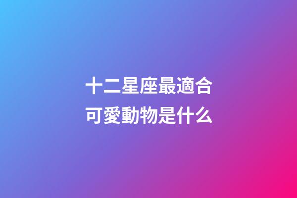 十二星座最適合可愛動物是什么-第1張-星座運勢-玄機派