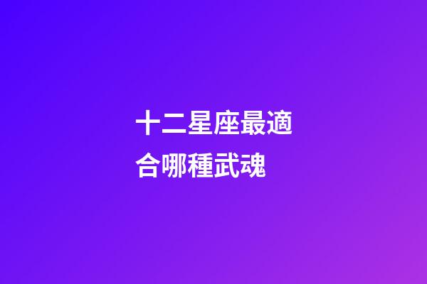十二星座最適合哪種武魂-第1張-星座運勢-玄機派