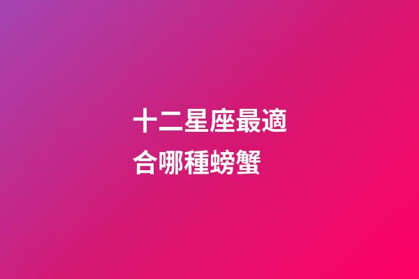 十二星座最適合哪種螃蟹-第1張-星座運勢-玄機派