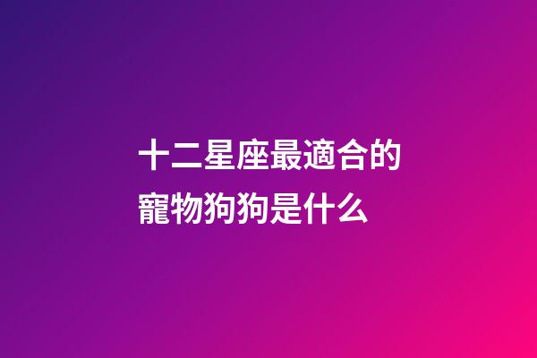 十二星座最適合的寵物狗狗是什么-第1張-星座運勢-玄機派