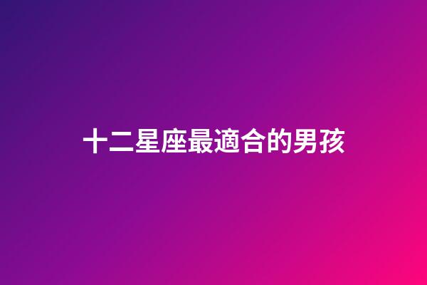 十二星座最適合的男孩