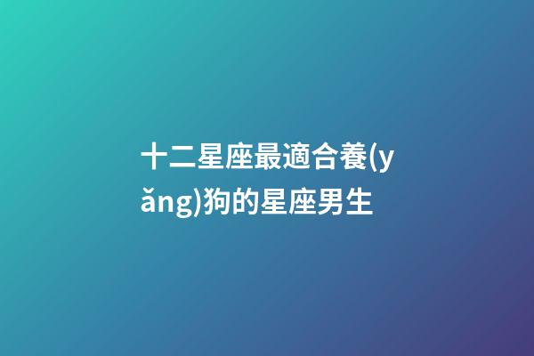 十二星座最適合養(yǎng)狗的星座男生