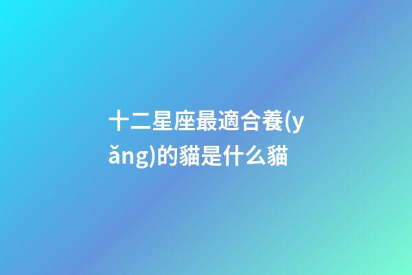 十二星座最適合養(yǎng)的貓是什么貓-第1張-星座運(yùn)勢(shì)-玄機(jī)派