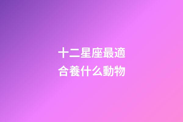 十二星座最適合養什么動物-第1張-星座運勢-玄機派