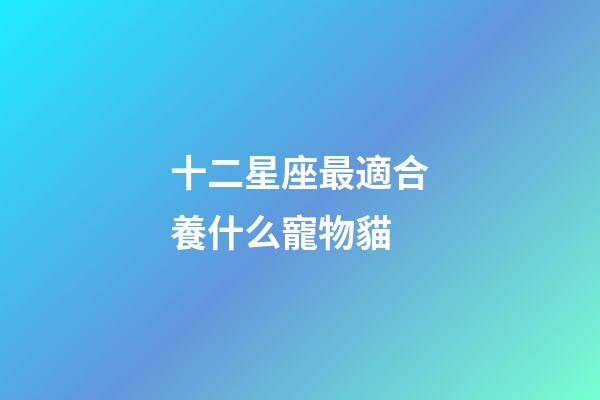 十二星座最適合養什么寵物貓-第1張-星座運勢-玄機派