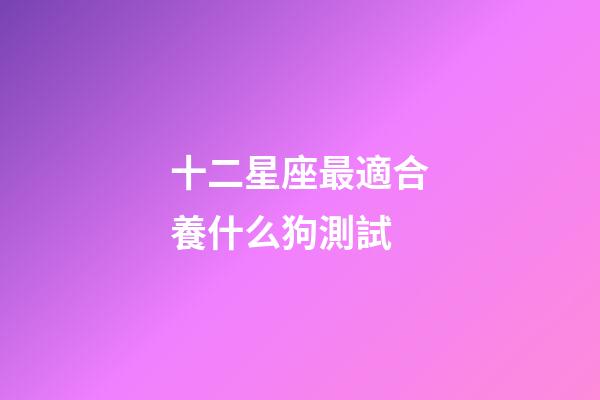 十二星座最適合養什么狗測試-第1張-星座運勢-玄機派