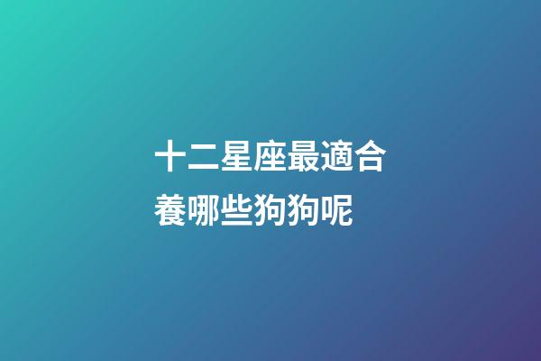 十二星座最適合養哪些狗狗呢-第1張-星座運勢-玄機派