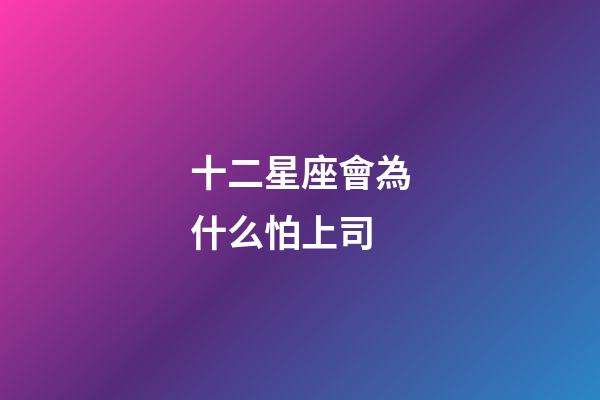 十二星座會為什么怕上司-第1張-星座運勢-玄機派