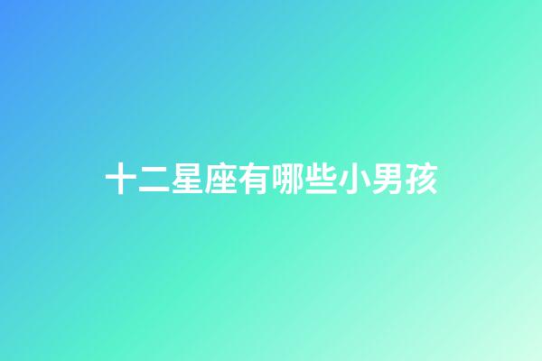 十二星座有哪些小男孩-第1張-星座運勢-玄機(jī)派
