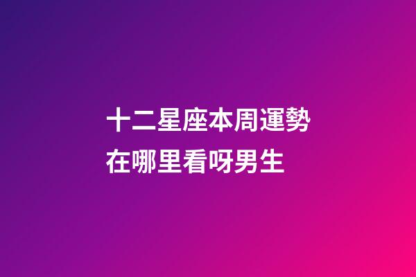十二星座本周運勢在哪里看呀男生-第1張-星座運勢-玄機派