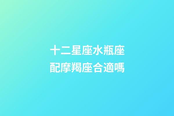 十二星座水瓶座配摩羯座合適嗎-第1張-星座運勢-玄機派