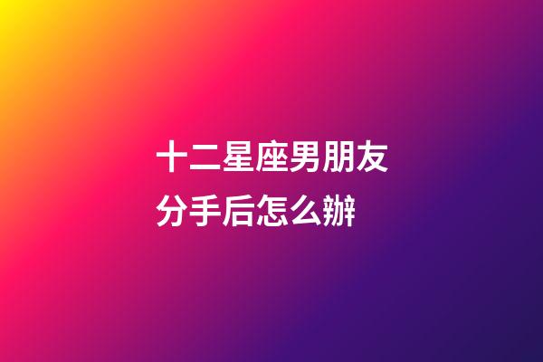 十二星座男朋友分手后怎么辦-第1張-星座運勢-玄機派