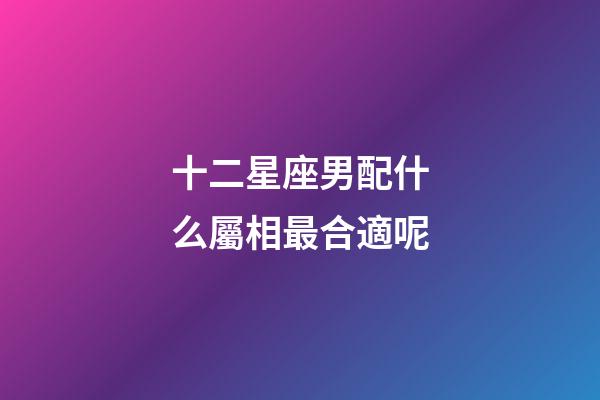 十二星座男配什么屬相最合適呢-第1張-星座運勢-玄機派