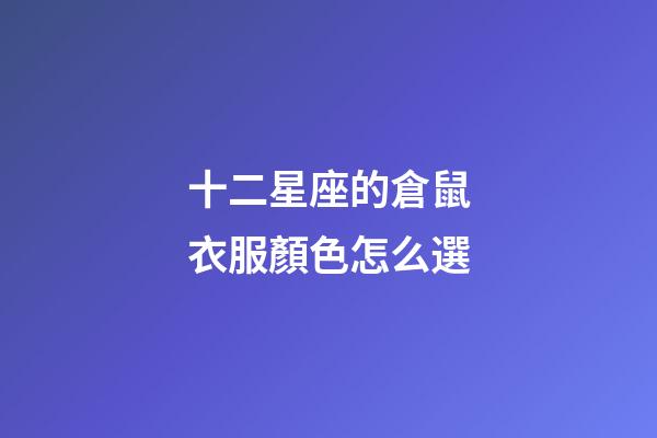 十二星座的倉鼠衣服顏色怎么選-第1張-星座運勢-玄機派