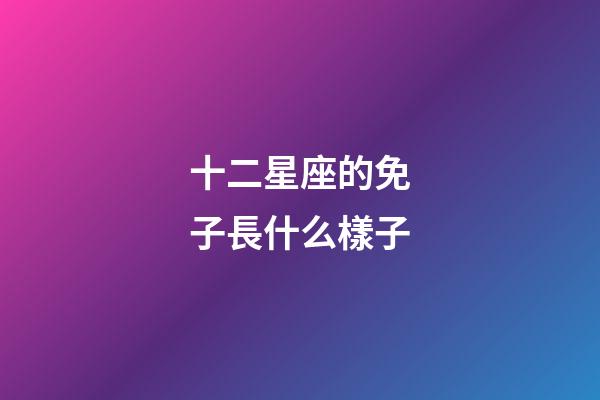 十二星座的免子長什么樣子-第1張-星座運勢-玄機派